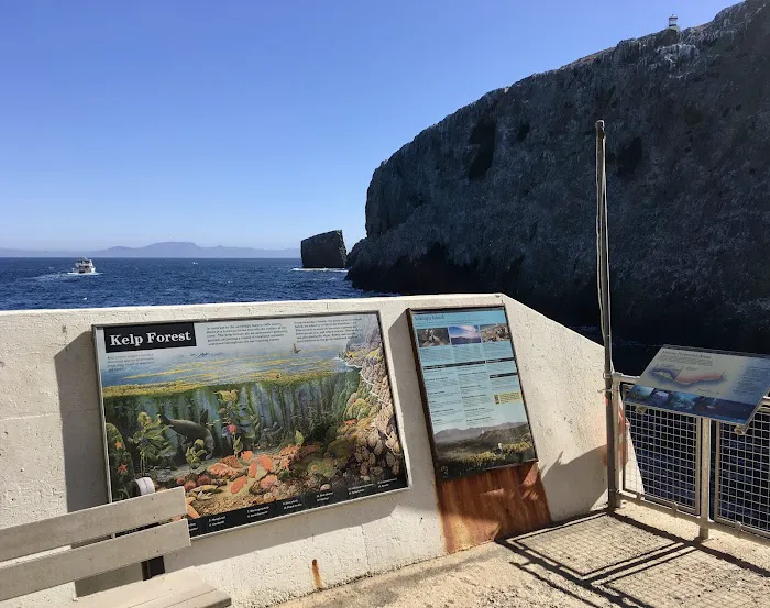 East Anacapa Island Landing Cove 5