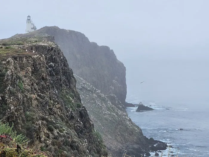 East Anacapa Island Landing Cove 6