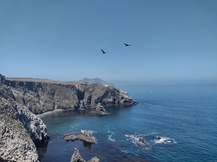 East Anacapa Island Landing Cove 8