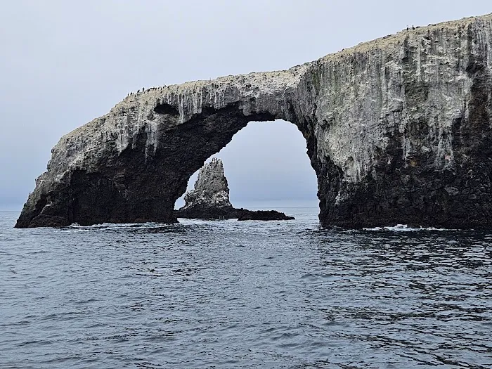 East Anacapa Island Landing Cove 9