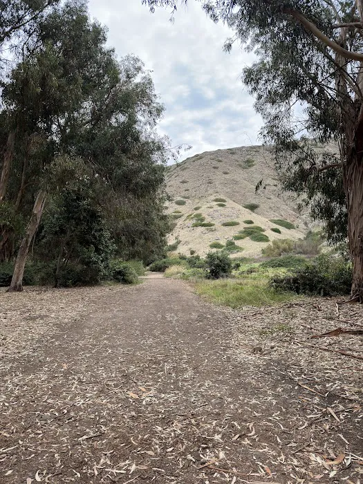 Upper Scorpion Campground 1