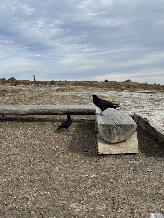 Upper Scorpion Campground 9