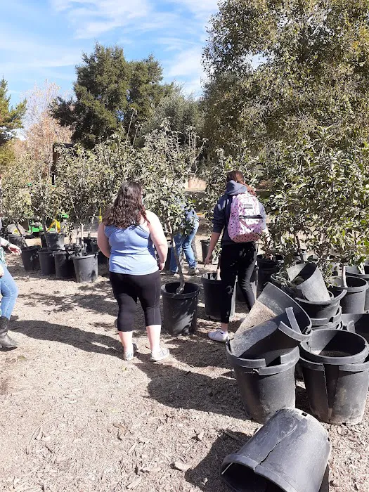 Camp Arnaz Program Center - Girl Scouts of California's Central Coast 4