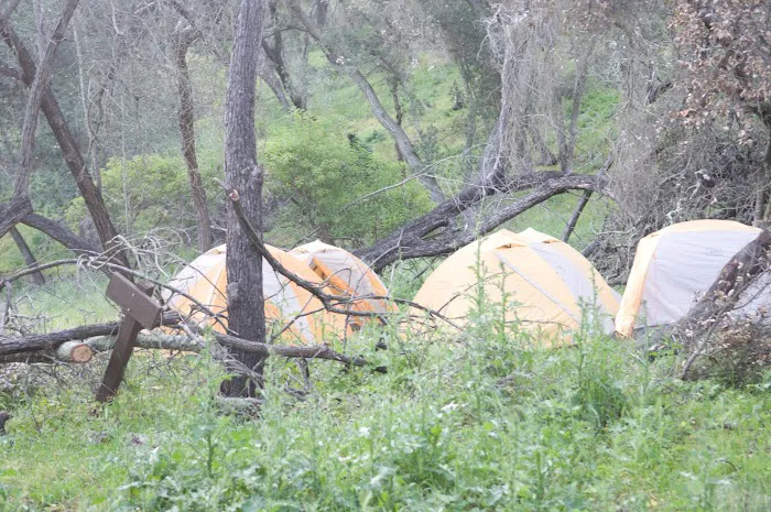Camp Willett Headquarters 1
