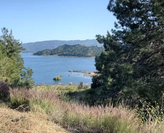 Fox Campground
