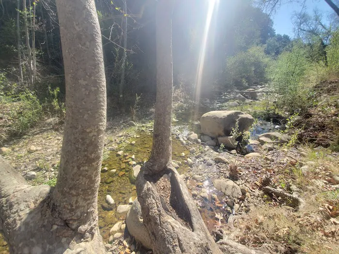 Camp Comfort Park 7