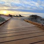 Carpinteria State Beach