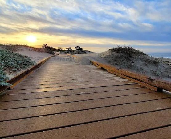 Carpinteria State Beach