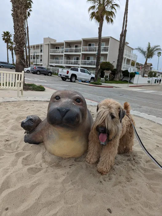 Carpinteria State Beach 7
