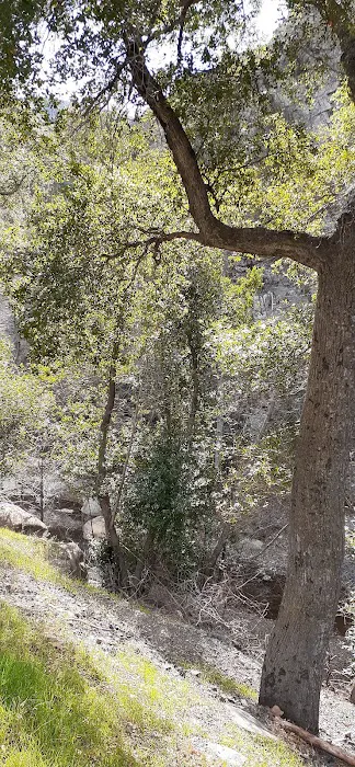 Holiday Group Campground 1