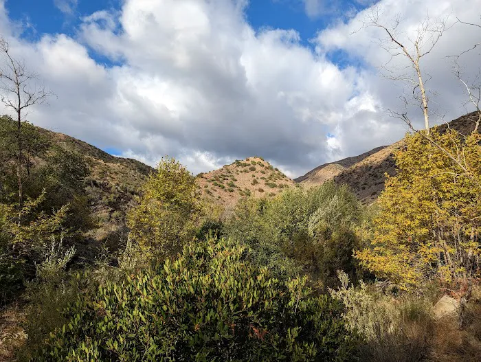 Middle Matilija Campground 2