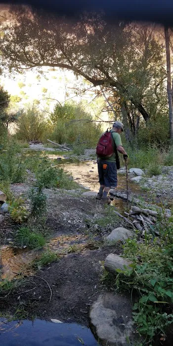 Middle Matilija Campground 9