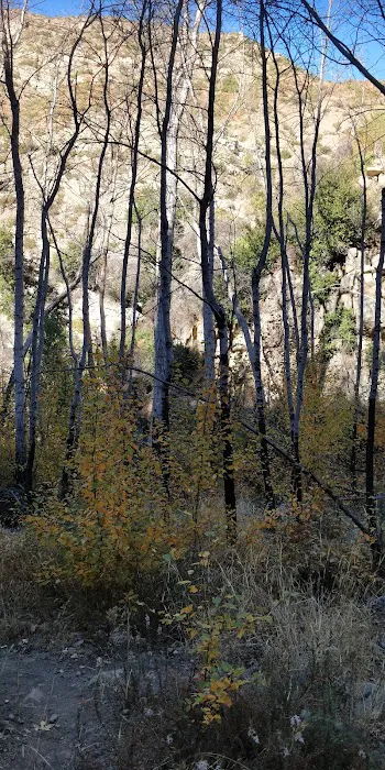Middle Matilija Campground 7