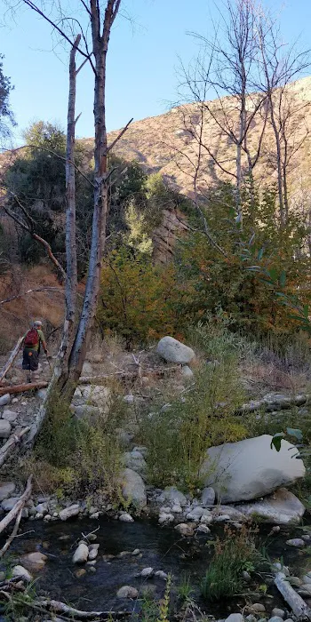 Middle Matilija Campground 8