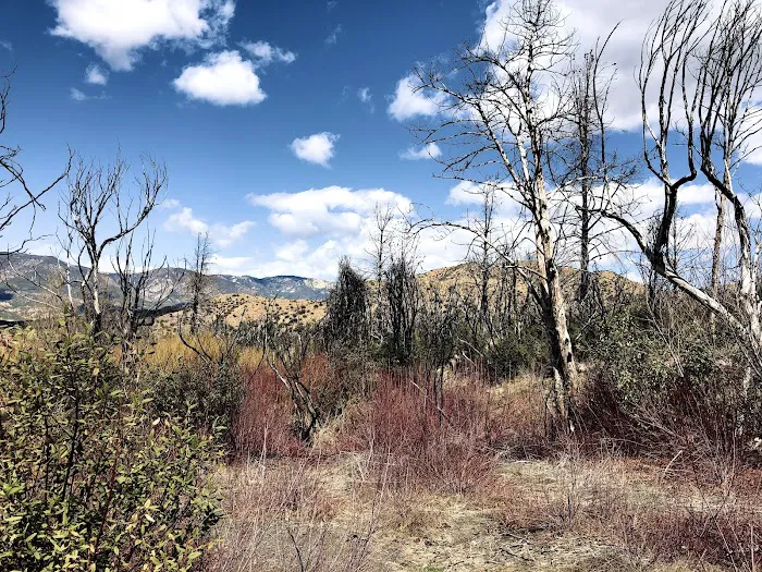 Rose Valley Campground 1