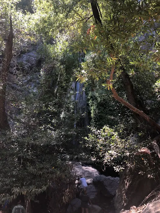 Rose Valley Campground 7