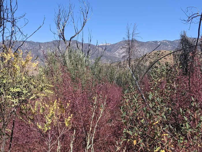 Rose Valley Campground 9