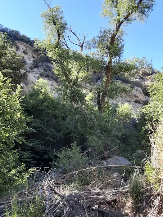 Potrero John Campground 2