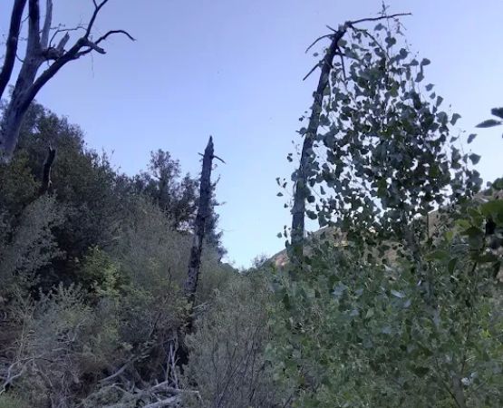 Potrero John Campground