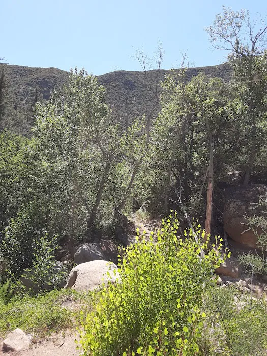 Potrero John Campground 5