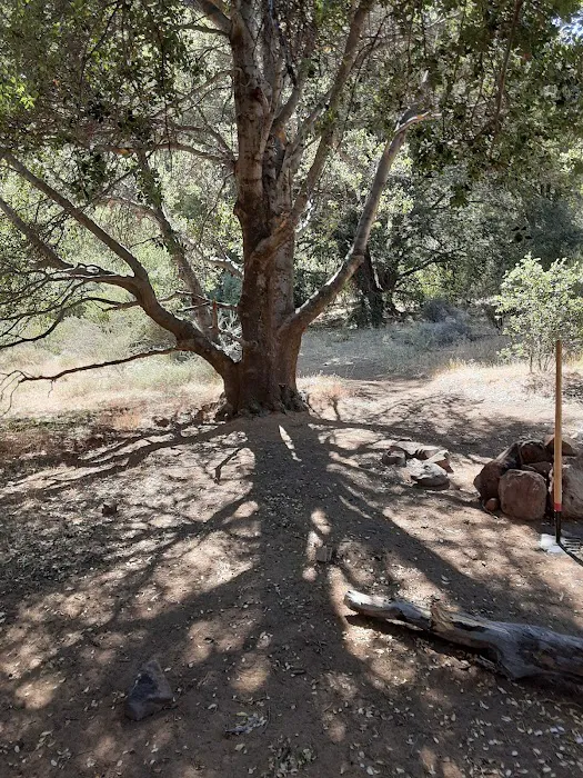 Potrero John Campground 9