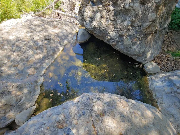 Middle Lion Campground 3
