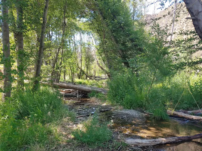 Middle Lion Campground 4
