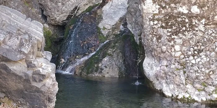 Middle Lion Campground 9