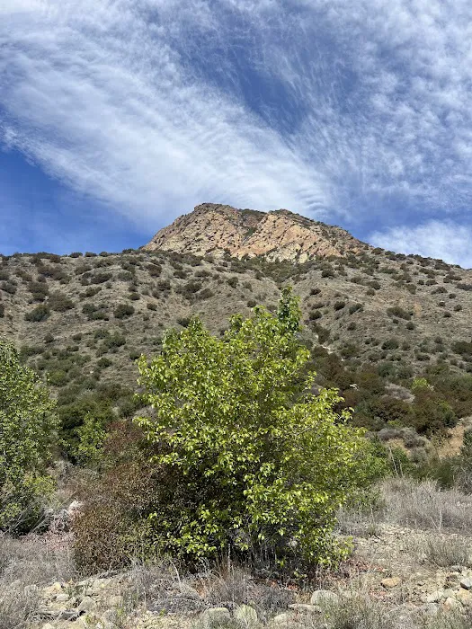 Big Cone Campground 3