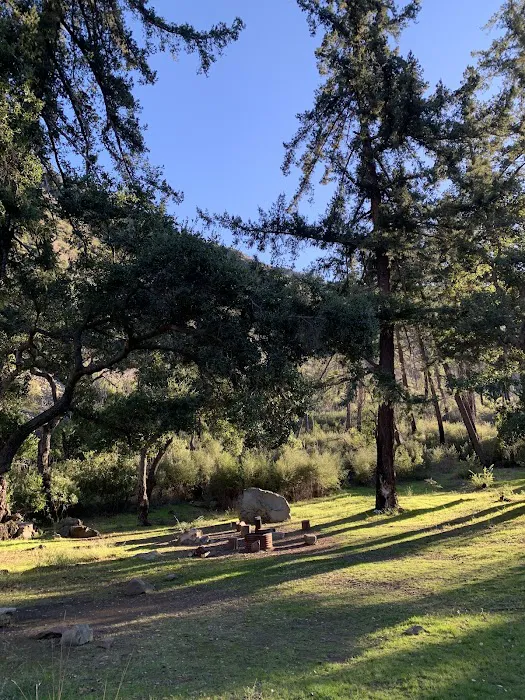 Big Cone Campground 6