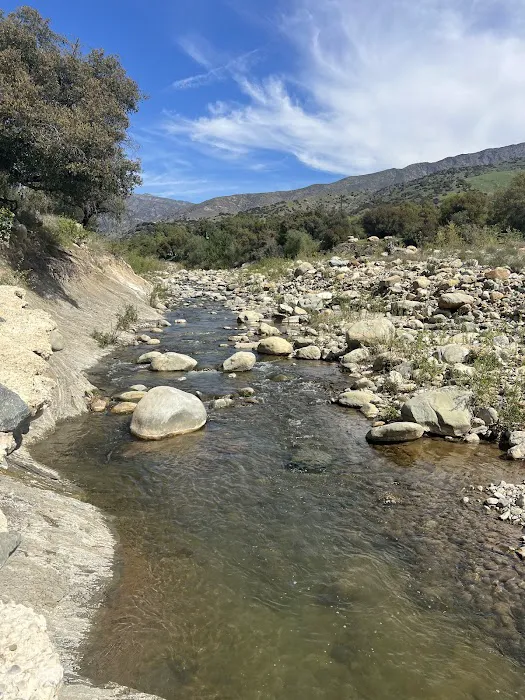 Big Cone Campground 7
