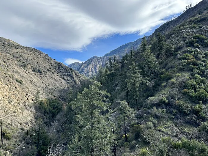 Big Cone Campground 8