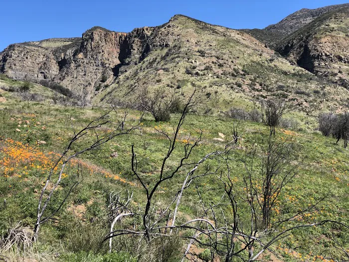 Last Chance Trail 9
