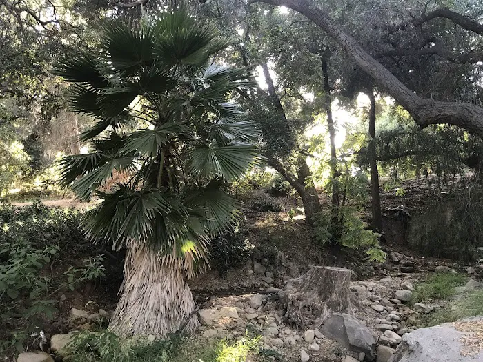 Kenney Grove Park 9