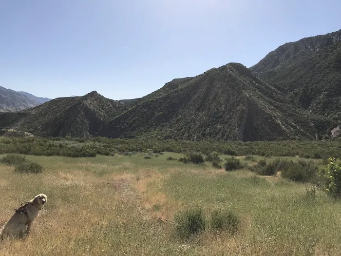 Oak Flat Camp 1