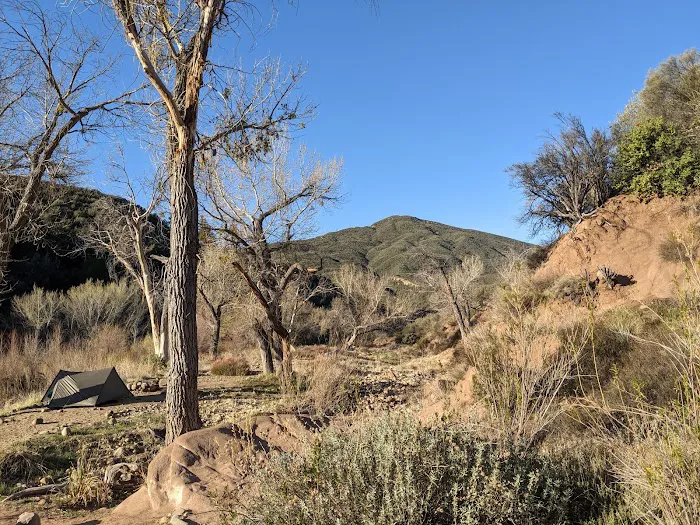 Bear Creek Trail Camp 4