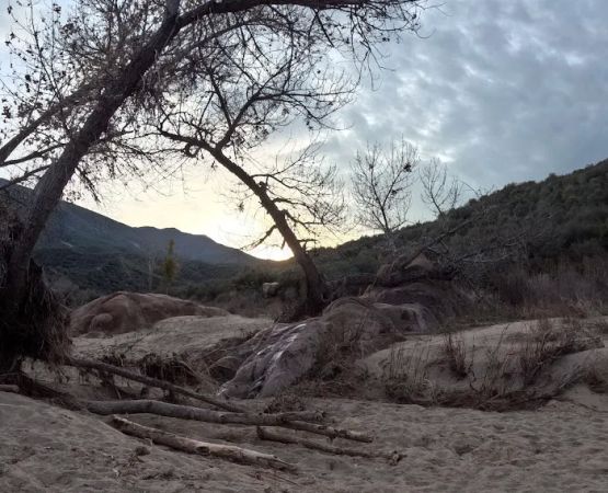 Bear Creek Trail Camp