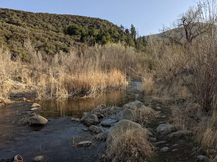 Bear Creek Trail Camp 3