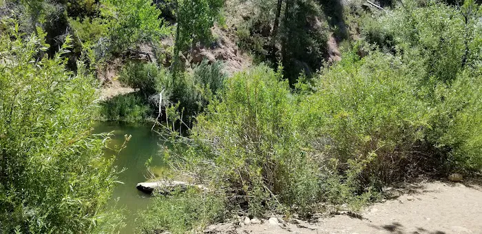 Bear Creek Trail Camp 8