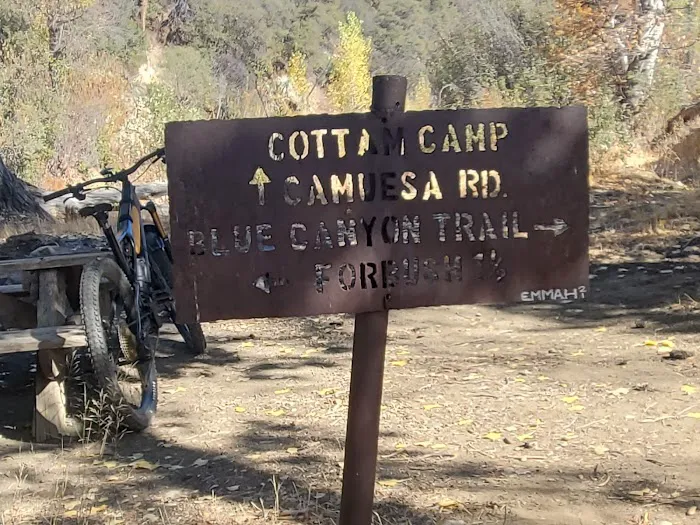 Cottam Camp 2