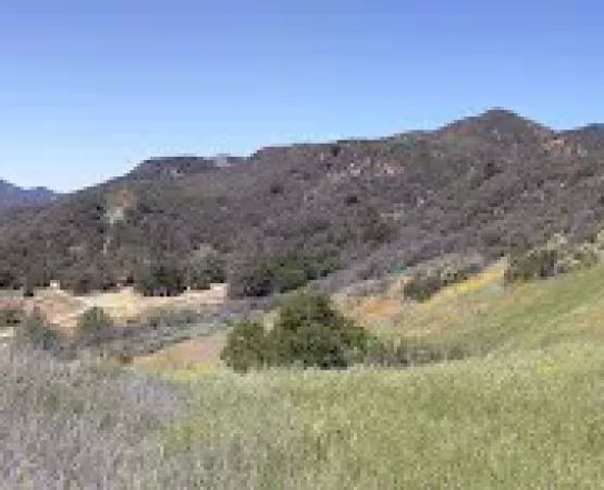 P-Bar Flats Campground