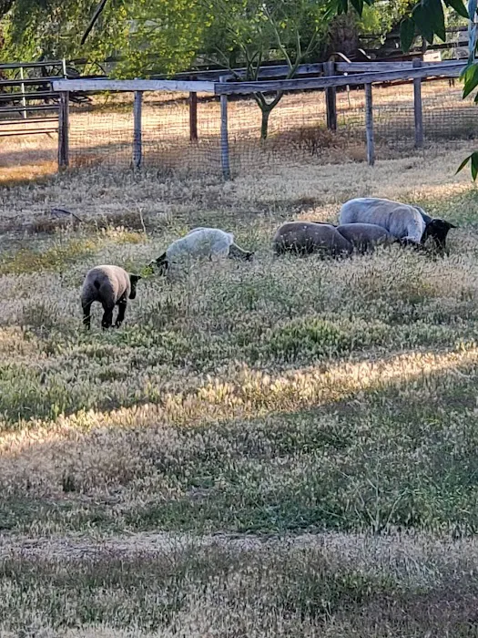 Victory Ranch 1