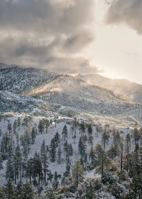 Angeles Crest Christian Camp 9