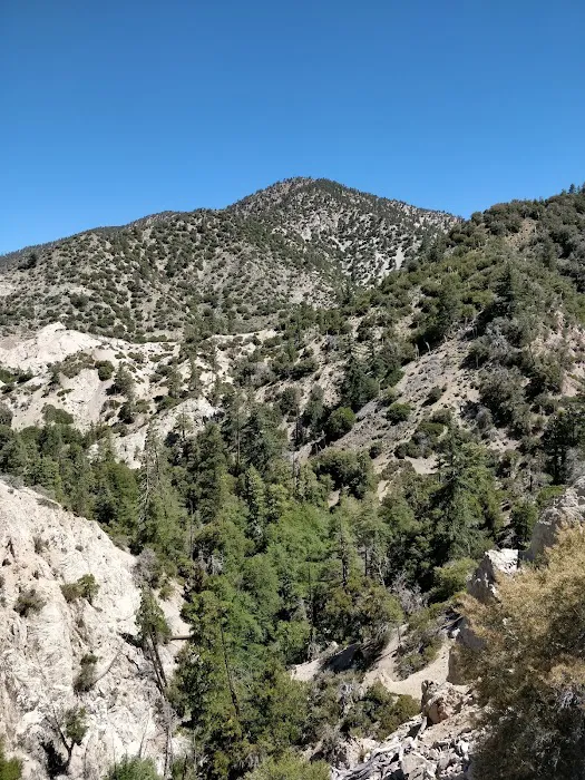 Buckhorn Campground 2