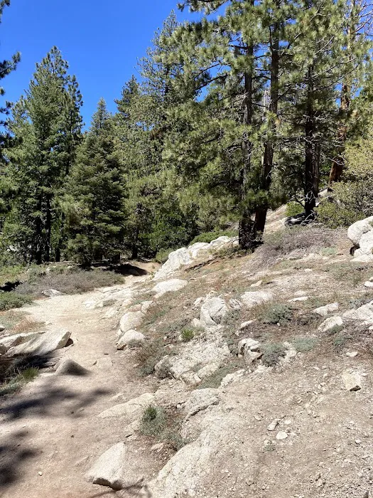 Buckhorn Campground 1