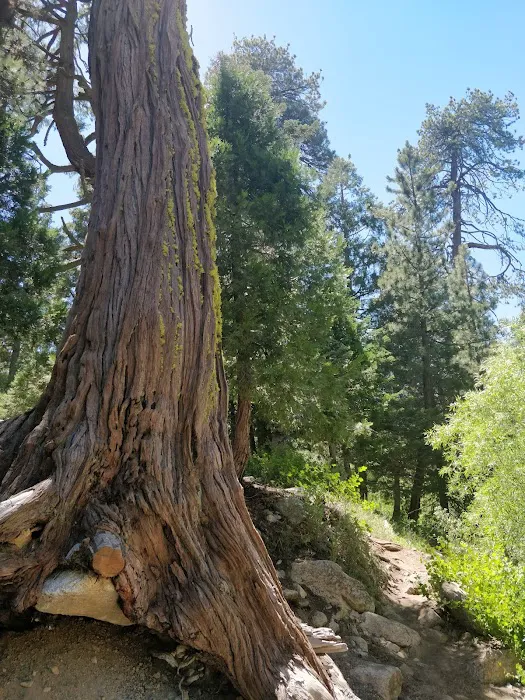 Buckhorn Campground 5