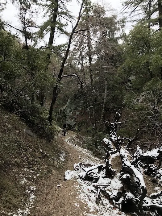 Lower Shake Trailhead 3
