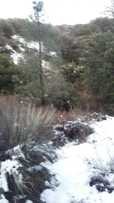 Lower Shake Trailhead 4