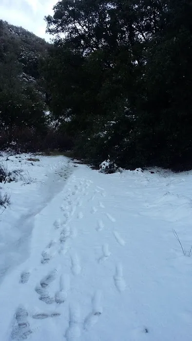 Lower Shake Trailhead 5