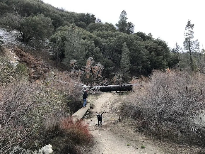 Lower Shake Trailhead 6
